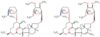 (2R,3aR,5aR,5bS,9S,13S,14R,16aS,16bR)-13-{[(2R,5S,6R)-5-(dimethylamino)-6-methyltetrahydro-2H-py...