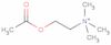 Acetylcholine