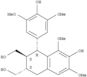 2,3-Naphthalenedimethanol,1,2,3,4-tetrahydro-7-hydroxy-1-(4-hydroxy-3,5-dimethoxyphenyl)-6,8-dim...