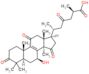 Ganoderic acid C