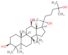 (3beta,12beta,20R)-dammarane-3,12,20,25-tetrol