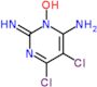 (2E)-6-amino-4,5-dichloro-2-iminopyrimidin-1(2H)-ol