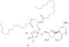 Cytidin 5'-diphospho-sn-glycerol,*1,2-dimyristoyl