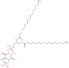 (2R)-3-[(hydroxy{[(2R,3R,5S,6R)-2,3,5,6-tetrahydroxy-4-(phosphonooxy)cyclohexyl]oxy}phosphoryl)oxy…