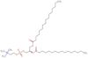 1,2-Dipalmitoyl-sn-glycero-3-phosphocholine