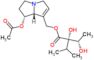 7-Acetyllycopsamine