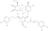 b-D-Glucopiranoside, 2-(3,4-diidrossifenil)etile O-b-D-galattopiranosil-(1®2)-O-6-desossi-a-L-mann…