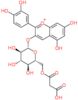 2-(3,4-dihydroxyphenyl)-5,7-dihydroxychromenium-3-yl 6-O-(carboxyacetyl)-beta-D-glucopyranoside