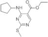 4-cyclopentylamino-2-methylsulfanylpyrimidine-5-carboxylic acid ethyl ester