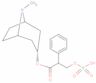 Atropine sulfate conjugate