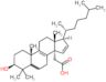 {(3S,10S,13R,14R,17S)-3-hydroxy-4,4,10,13-tetramethyl-17-[(2R)-6-methylheptan-2-yl]-1,2,3,4,5,6,7,…