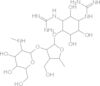 2,2'-[(1R,2R,3S,4R,5R,6S)-4-({3,5-dideoxy-2-O-[2-deoxy-2-(methylamino)-alpha-L-glucopyranosyl]-3...