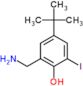 2-(aminomethyl)-4-tert-butyl-6-iodophenol