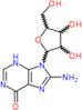 8-amino-9-pentofuranosyl-3,9-dihydro-6H-purin-6-one