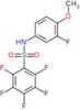 2,3,4,5,6-pentafluoro-N-(3-fluoro-4-methoxyphenyl)benzenesulfonamide