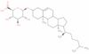 cholesterol glucuronide