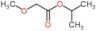 propan-2-yl methoxyacetate