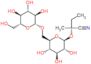 (2R)-2-{[6-O-(beta-D-glucopyranosyl)-beta-D-glucopyranosyl]oxy}-2-methylbutanenitrile