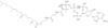 Coenzyme A, S-(3,7,11,15-tetramethylhexadecanoate)