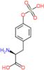 (2S)-2-amino-3-(4-hydroxyphenyl)propanoyl hydrogen sulfate