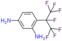 1,3-Diamino-4-(heptafluoroisopropyl)benzene dihydrochloride