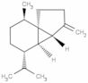 β-Cubébène