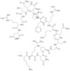 Phosphorylase Kinase .beta.-Subunit Fragment (420-436)