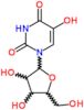5-hydroxy-1-pentofuranosylpyrimidine-2,4(1H,3H)-dione