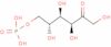 Fructose 6-phosphate