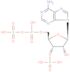 3′-Phosphoadenosine 5′-phosphosulfate