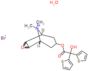 Tiotropium bromide monohydrate