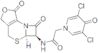 1(4H)-Pyridineacetamide, 3,5-dichloro-4-oxo-N-(1,4,5a,6-tetrahydro-1,7-dioxo-3H,7H-azeto[2,1-b]f...