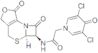 (5aR-trans)-3,5-dichloro-4-oxo-N-(1,4,5a,6-tetrahydro-1,7-dioxo-3H,7H-azeto[2,1-b]furo[3,4-d][1,3]thiazin-6-yl)-4H-pyridine-1-acetamide
