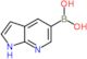 1H-pyrrolo[2,3-b]pyridin-5-ylboronic acid