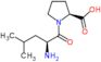 L-Leucyl-L-proline