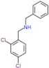 N-benzyl-1-(2,4-dichlorophenyl)methanamine