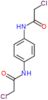 N,N'-benzene-1,4-diylbis(2-chloroacetamide)