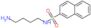 N-(4-aminobutyl)naphthalene-2-sulfonamide