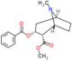 methyl (1R,2S,3R,5S)-3-(benzoyloxy)-8-methyl-8-azabicyclo[3.2.1]octane-2-carboxylate