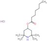 2,2,6,6-tetramethylpiperidin-4-yl heptanoate hydrochloride