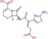 (6R,7R)-7-{[(2E)-2-(2-amino-1,3-thiazol-4-yl)-4-carboxybut-2-enoyl]amino}-8-oxo-5-thia-1-azabicycl…