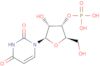 uridine 3'-(dihydrogen phosphate)