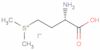 L-methionine-S-methylsulfonium iodine