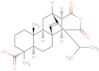 (4α,8α,12α,13R,14R)-16-isopropyl-17,19-dinoratis-15-ene-4,13,14-tricarboxylic acid, cyclic 13,14-a…