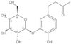 Myzodendrone