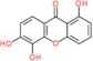 1,5,6-trihydroxy-9H-xanthen-9-one