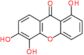 1,5,6-Trihydroxyxanthone