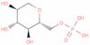 1,5-anhydroglucitol-6-phosphate