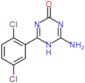 4-amino-6-(2,5-dichlorophenyl)-1,3,5-triazin-2(5H)-one