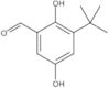 3-(1,1-Dimetiletil)-2,5-diidroxibenzaldeído